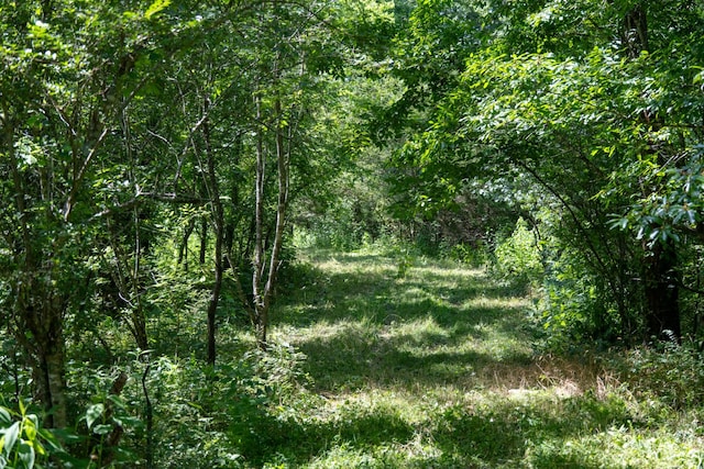 0 Hopkins Hollow Rd, Gainesboro, TN 38562 - photo 4