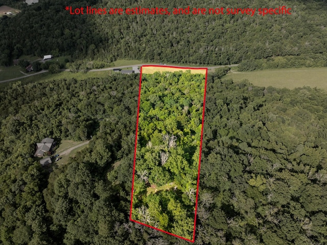 0 Hopkins Hollow Rd, Gainesboro, TN 38562 - photo 14