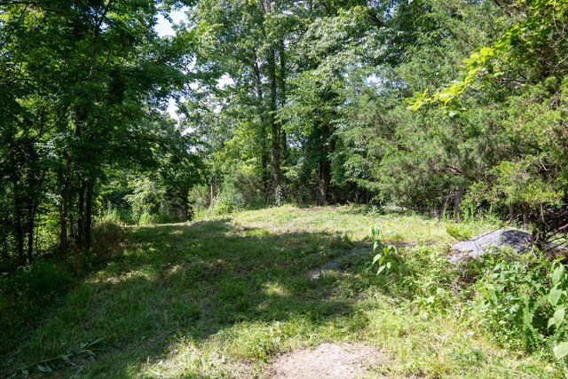 0 Hopkins Hollow Rd, Gainesboro, TN 38562 - photo 5
