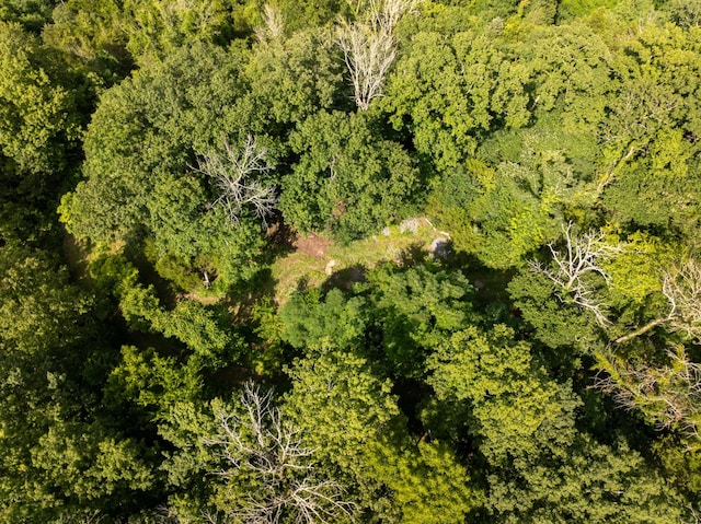 0 Hopkins Hollow Rd, Gainesboro, TN 38562 - photo 11