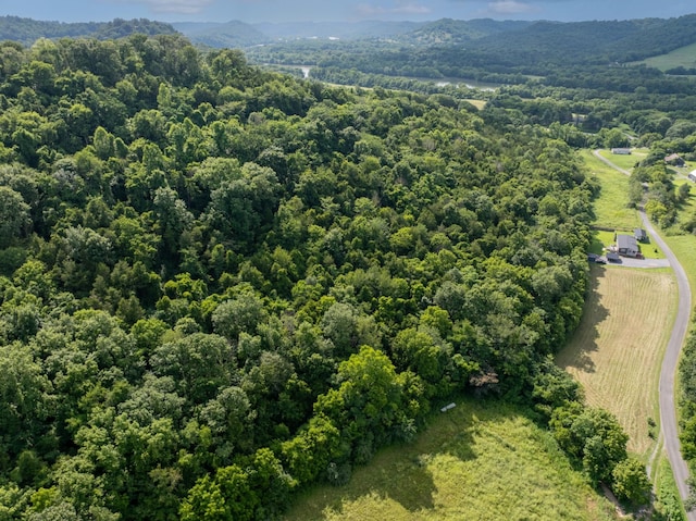 0 Hopkins Hollow Rd, Gainesboro, TN 38562 - photo 9
