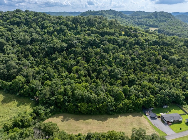 0 Hopkins Hollow Rd, Gainesboro, TN 38562 - photo 8