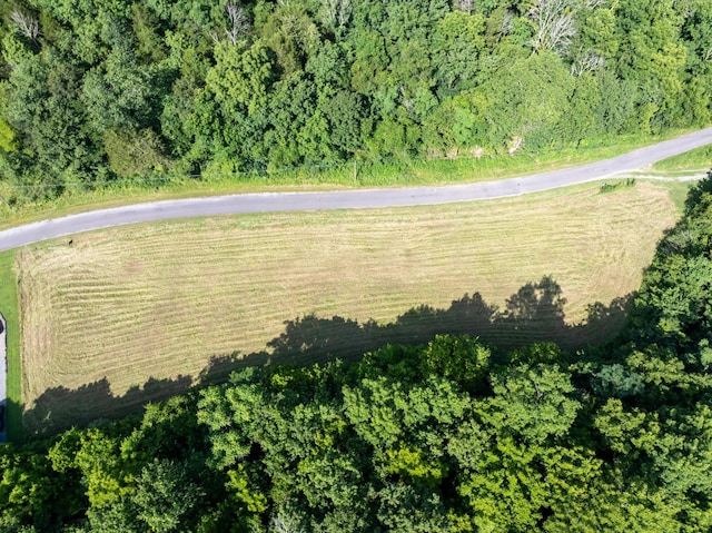 0 Hopkins Hollow Rd, Gainesboro, TN 38562 - photo 12