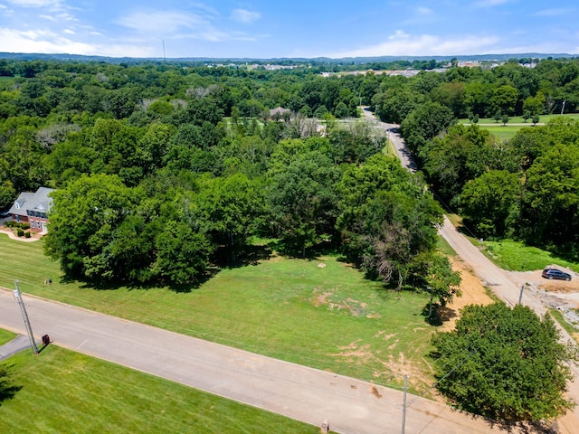1400 Brook Dr, Columbia, TN 38401 - photo 6