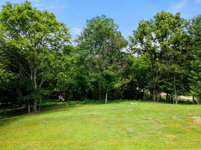 1400 Brook Dr, Columbia, TN 38401 - photo 1