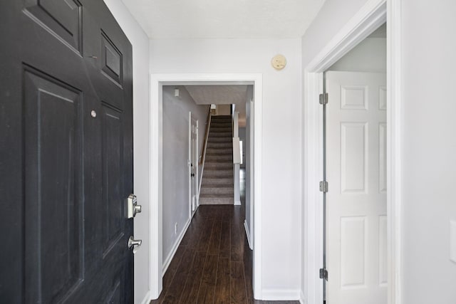 4826 Chelanie Cir, Murfreesboro, TN 37129 - hall with dark wood finished floors and stairs