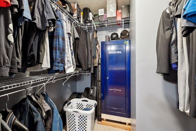 2261 High Meadow Dr, Murfreesboro, TN 37129 - view of spacious closet