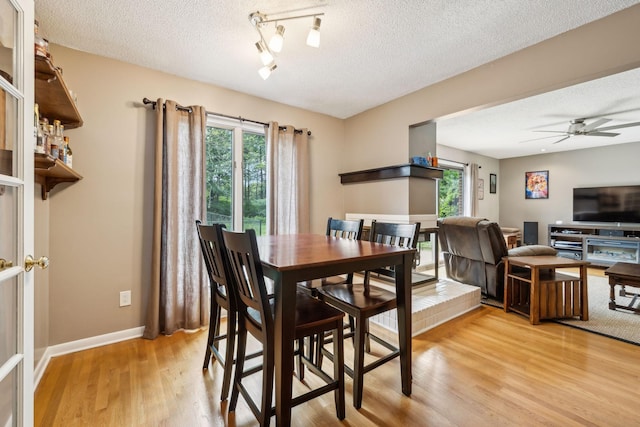 2261 High Meadow Dr, Murfreesboro, TN 37129 - dining space featuring plenty of natural light, light wood-style floors, a textured ceiling, ceiling fan, and rail lighting