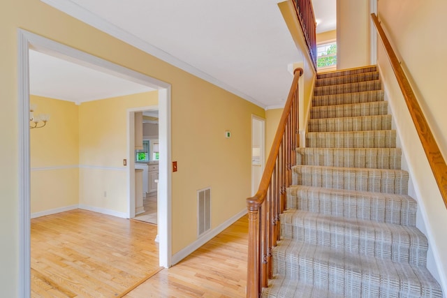 1822 Auburndale Ave, Chattanooga, TN 37405 - photo 7
