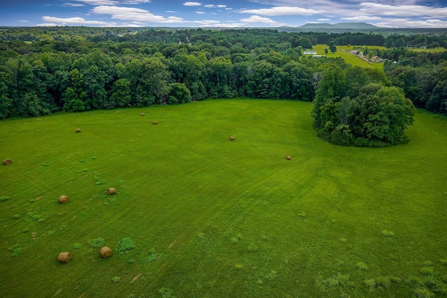 0 Medlen Ln, Smithville, TN 37166 - photo 13