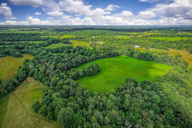 0 Medlen Ln, Smithville, TN 37166 - photo 11