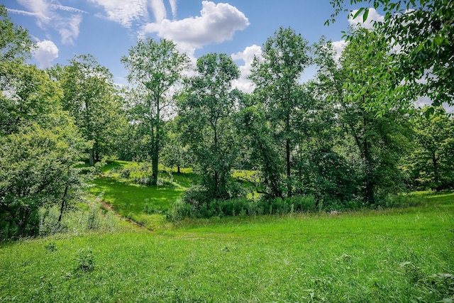 0 Medlen Ln, Smithville, TN 37166 - photo 21