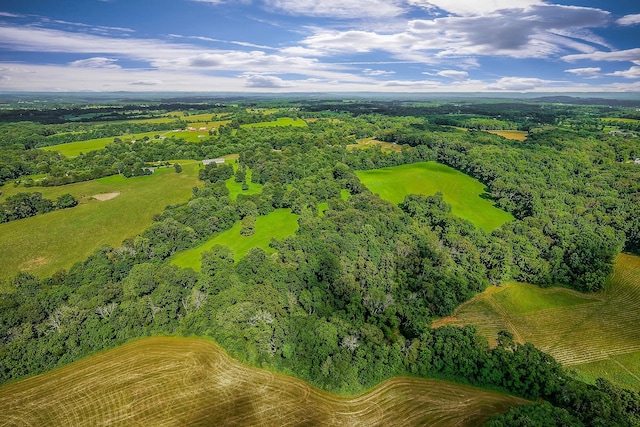 0 Medlen Ln, Smithville, TN 37166 - photo 9