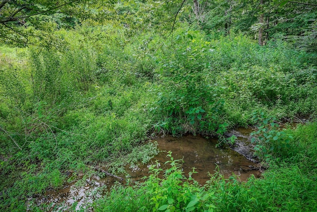 0 Medlen Ln, Smithville, TN 37166 - photo 27