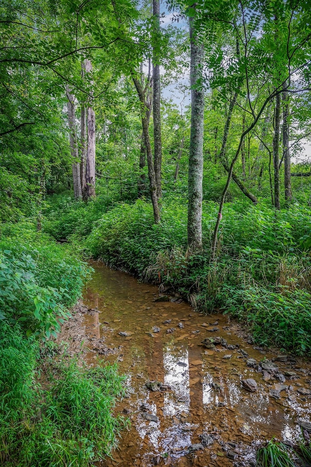 0 Medlen Ln, Smithville, TN 37166 - photo 26
