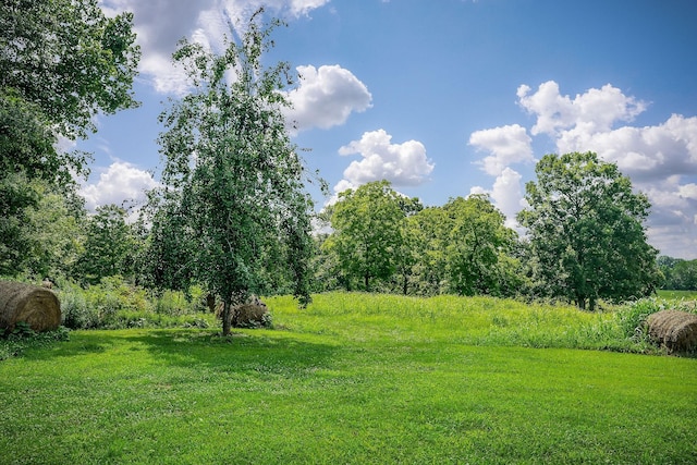 0 Medlen Ln, Smithville, TN 37166 - photo 17