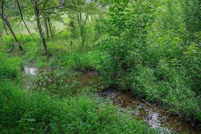 0 Medlen Ln, Smithville, TN 37166 - photo 29