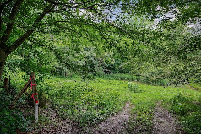 0 Medlen Ln, Smithville, TN 37166 - photo 20