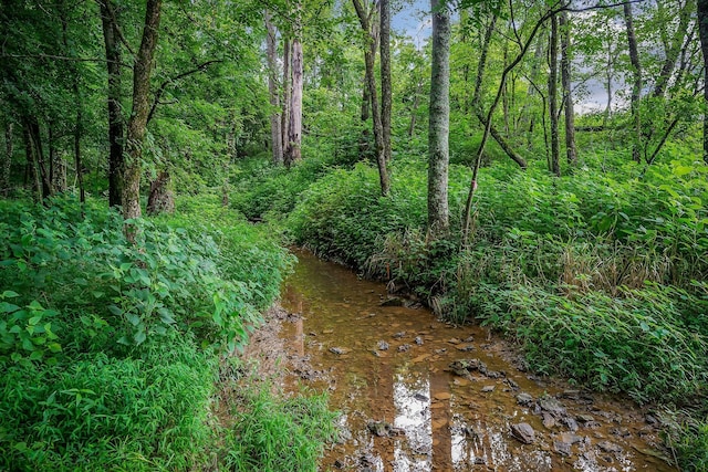 0 Medlen Ln, Smithville, TN 37166 - photo 25