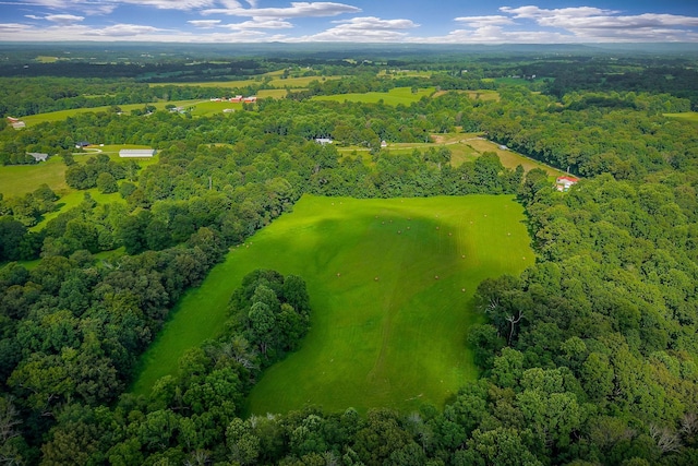 0 Medlen Ln, Smithville, TN 37166 - photo 10