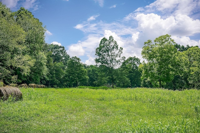 0 Medlen Ln, Smithville, TN 37166 - photo 19