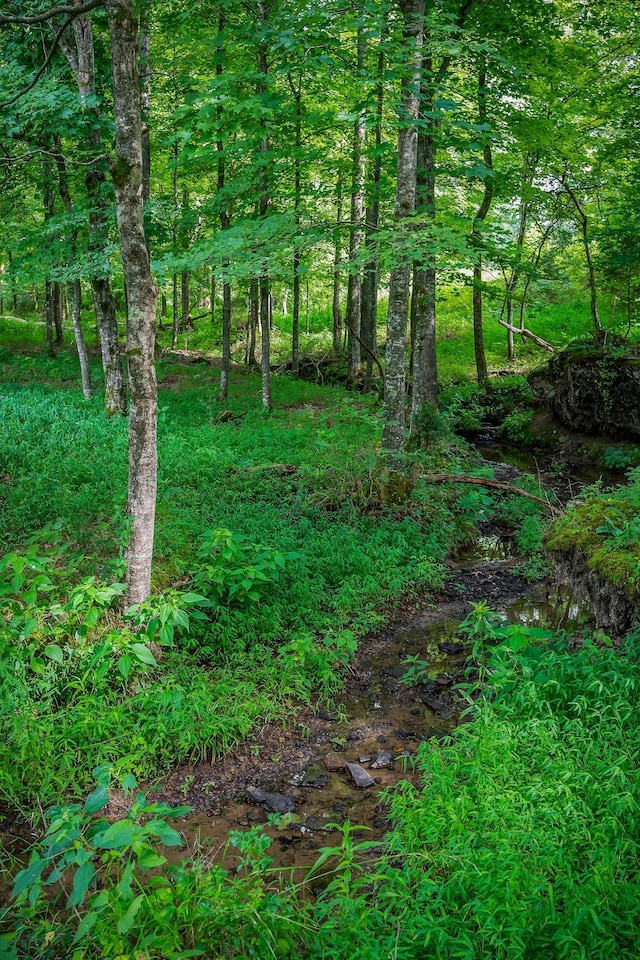 0 Medlen Ln, Smithville, TN 37166 - photo 28