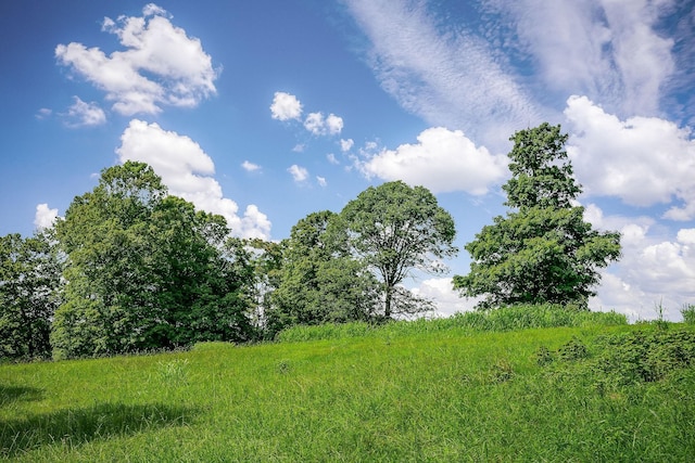 0 Medlen Ln, Smithville, TN 37166 - photo 22