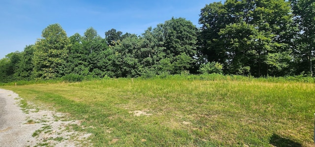 0 S Hunter Landing Ln, Smithville, TN 37166 - photo 5