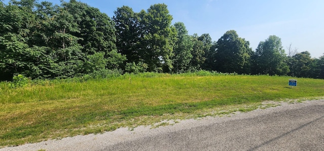 0 S Hunter Landing Ln, Smithville, TN 37166 - photo 6