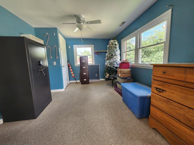 222 Cardinal Dr, Mcminnville, TN 37110 - photo 8