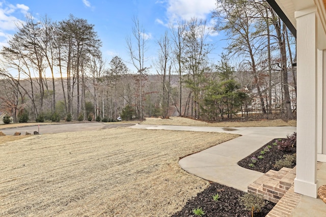35 Greenview Dr, Dunlap, TN 37327 - photo 51