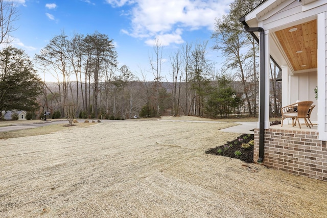 35 Greenview Dr, Dunlap, TN 37327 - photo 49