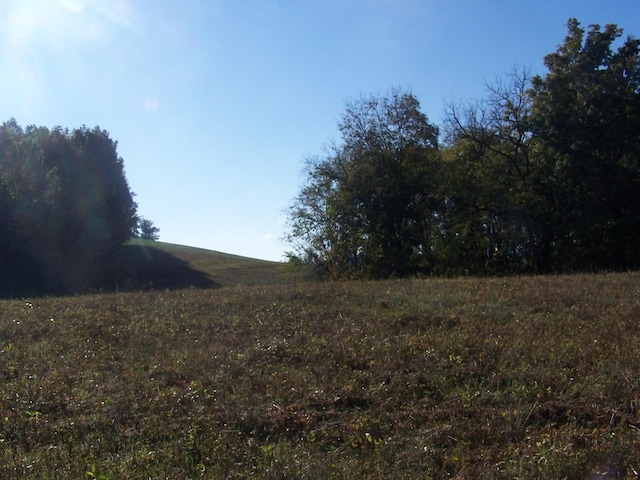 0 Cedar Place Rd, Pulaski, TN 38478