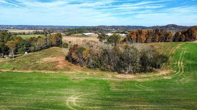 0 Cedar Place Rd, Pulaski, TN 38478