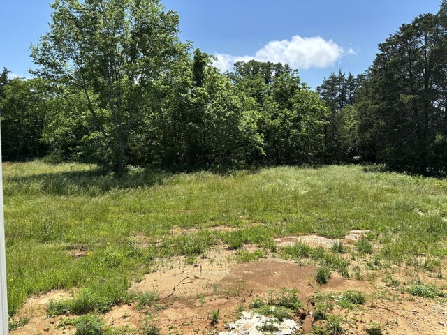 4400 Mccrary Rd, Lebanon, TN 37090 - photo 10
