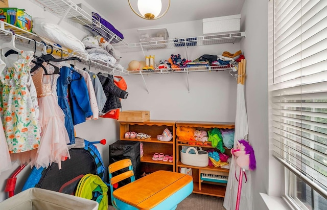 720 N Wickshire Way, Brentwood, TN 37027 - view of storage room