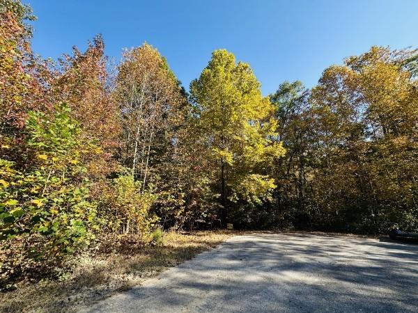 305 Marie St, Flintville, TN 37335 - photo 1