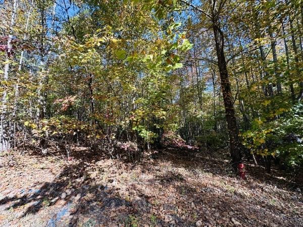 305 Marie St, Flintville, TN 37335 - photo 2