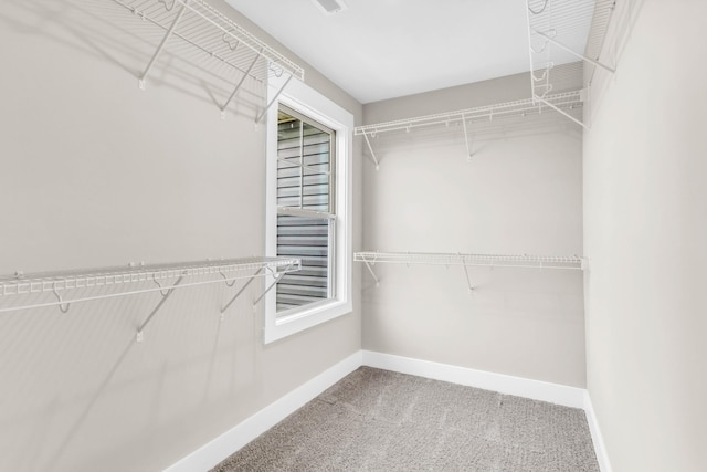 178 Cardinal Crk, Clarksville, TN 37040 - photo 21