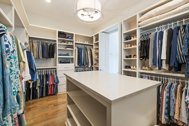 8524 Heirloom Blvd, College Grove, TN 37046 - walk in closet with wood finished floors and a chandelier