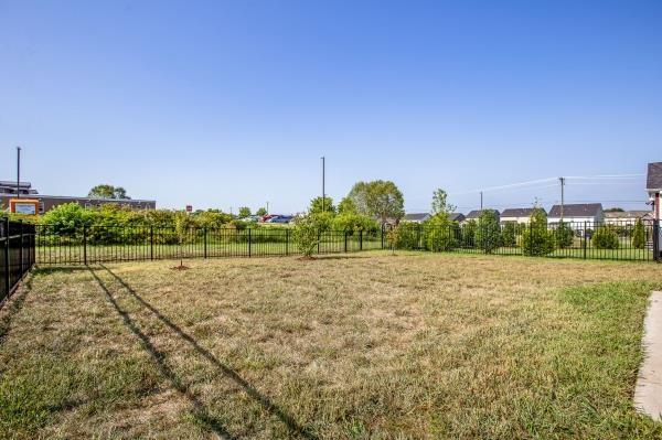 107 Clavie Crew Ln, Spring Hill, TN 37174 - view of fenced backyard