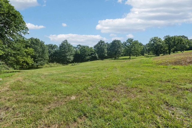 6456 Arno College Grove Rd, College Grove, TN 37046 - photo 3