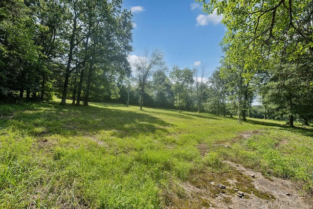 6456 Arno College Grove Rd, College Grove, TN 37046 - photo 17