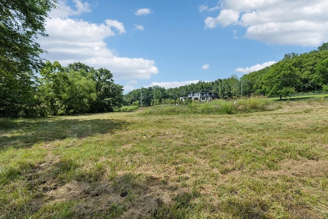 6456 Arno College Grove Rd, College Grove, TN 37046 - photo 7