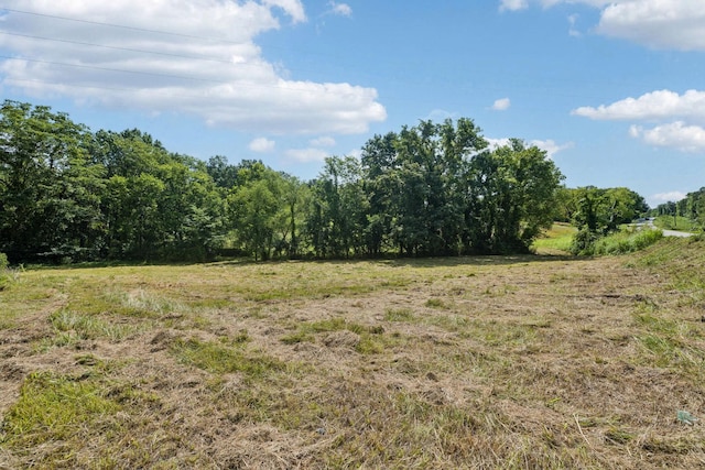 6456 Arno College Grove Rd, College Grove, TN 37046 - photo 11