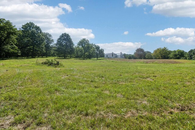 6456 Arno College Grove Rd, College Grove, TN 37046 - photo 13