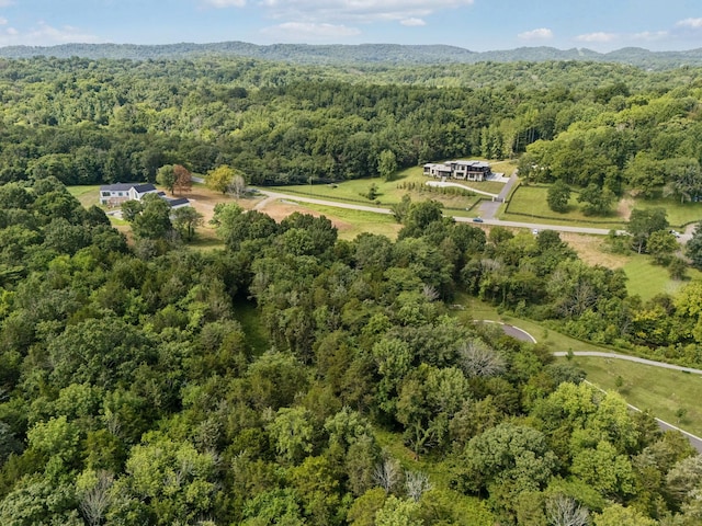 6456 Arno College Grove Rd, College Grove, TN 37046 - photo 37