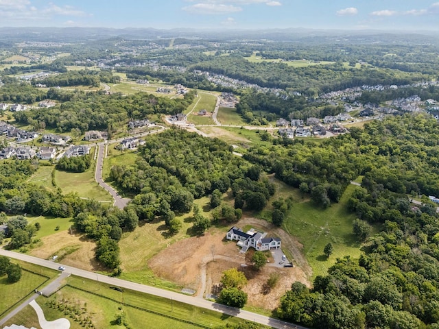 6456 Arno College Grove Rd, College Grove, TN 37046 - photo 28