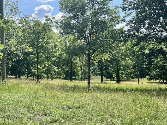 6456 Arno College Grove Rd, College Grove, TN 37046 - photo 9