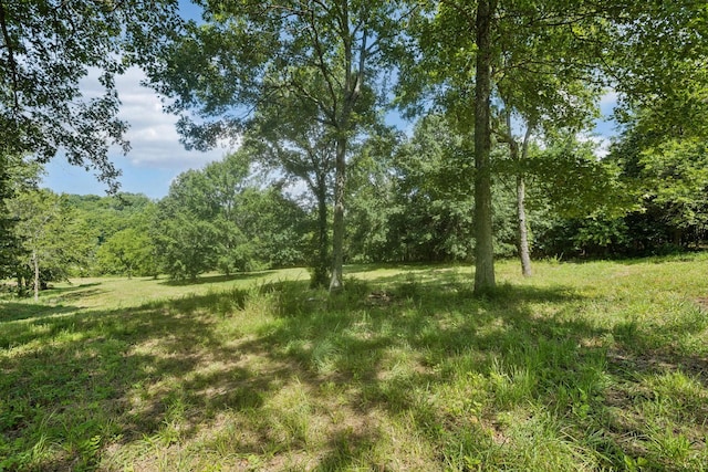6456 Arno College Grove Rd, College Grove, TN 37046 - photo 15